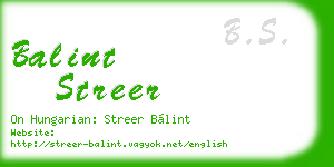 balint streer business card